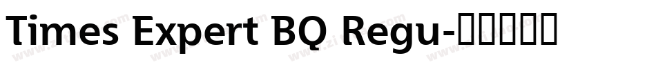 Times Expert BQ Regu字体转换